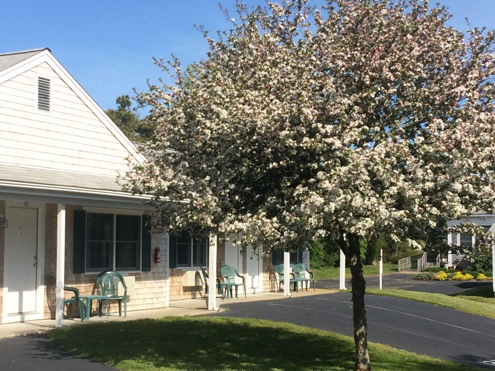 The Chatham Motel Exterior foto